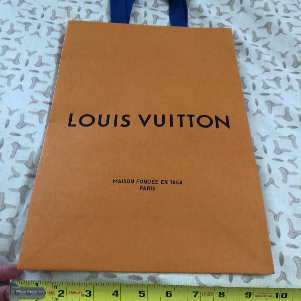 Louis Vuitton paper bag